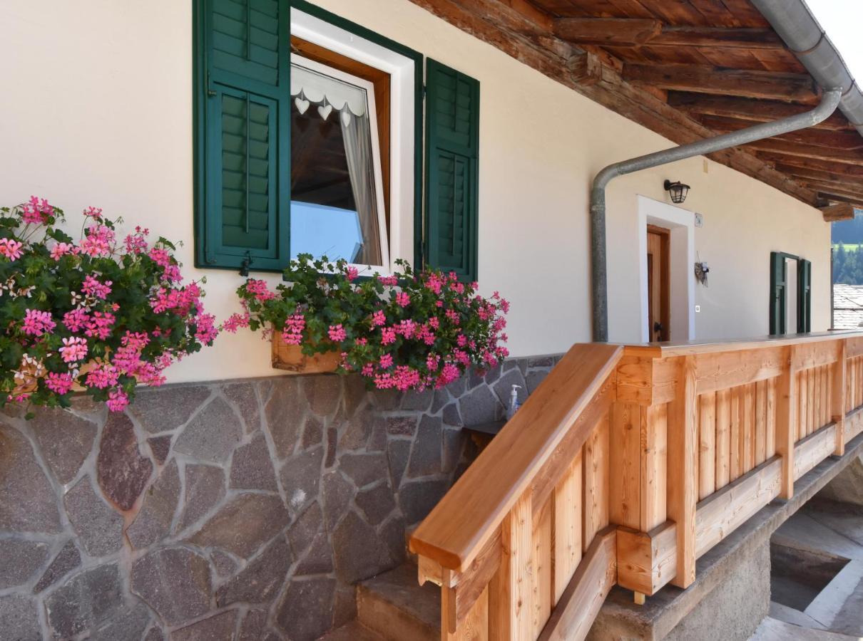 Casa Dorich Apartment Pozza di Fassa Ngoại thất bức ảnh